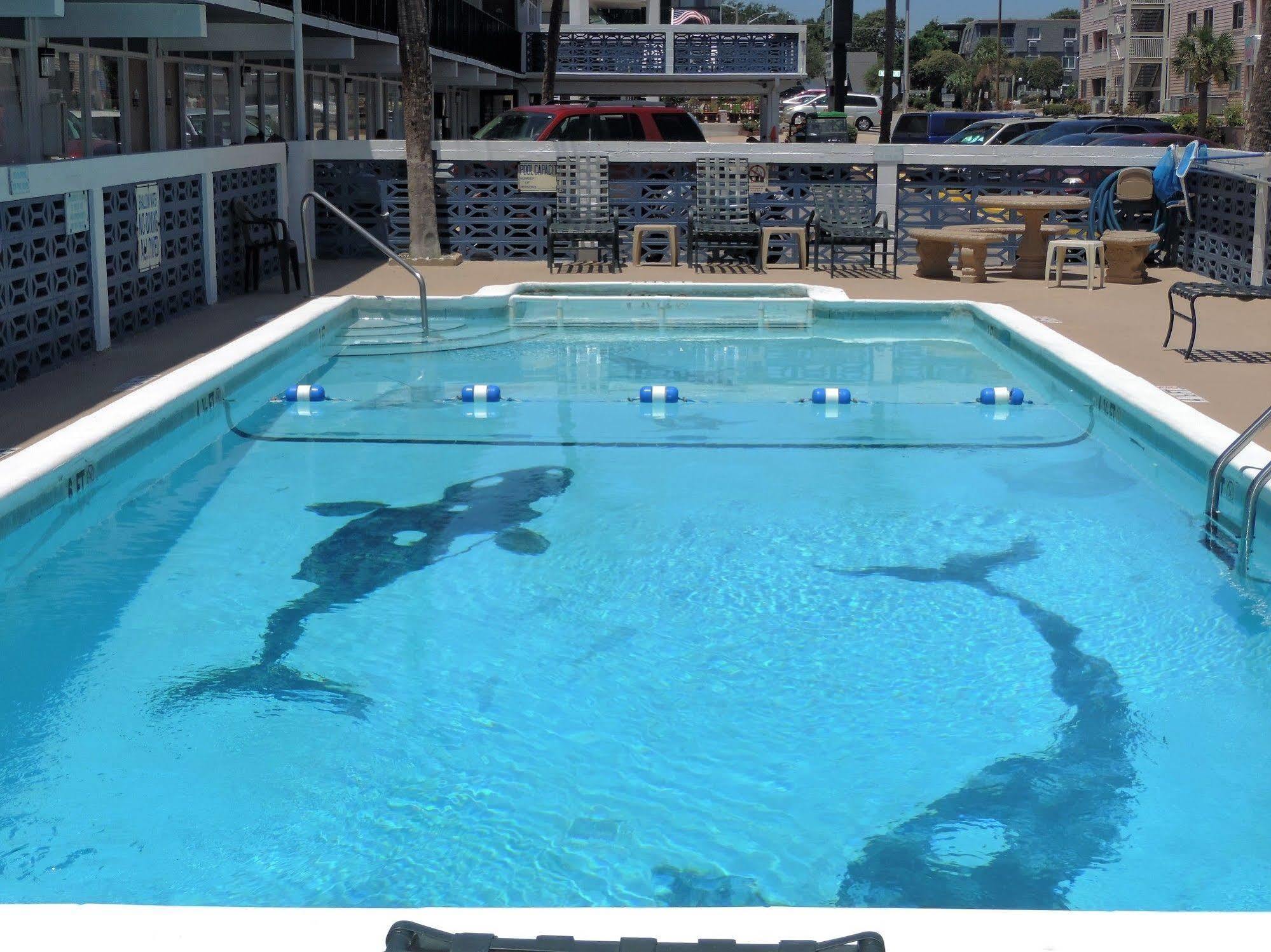 Sea Hawk Oceanfront Motel Myrtle Beach Eksteriør bilde